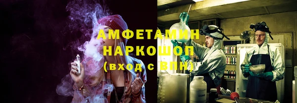 apvp Бородино