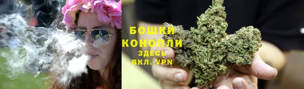 apvp Бородино