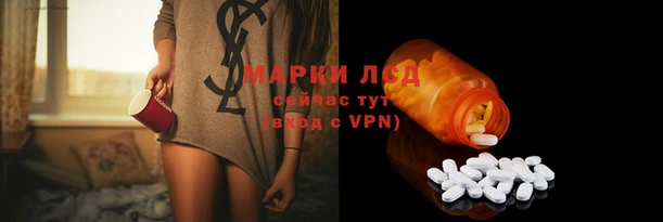 apvp Бородино