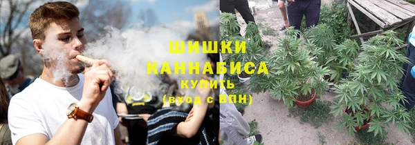 apvp Бородино