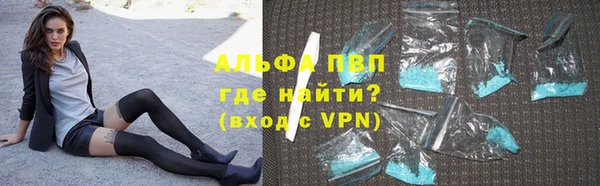 apvp Бородино