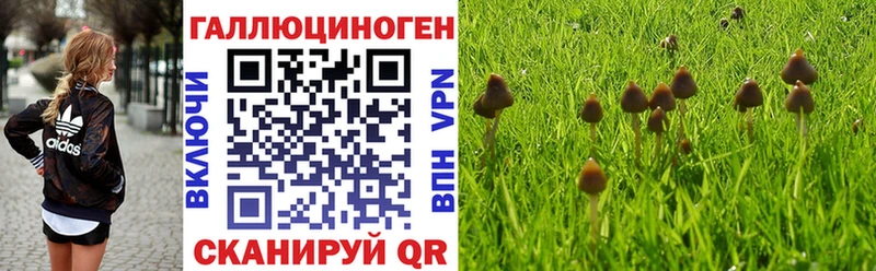 купить наркотики сайты  Карпинск  Галлюциногенные грибы MAGIC MUSHROOMS 